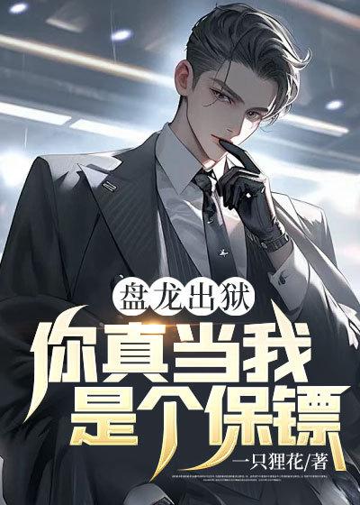 盘龙zip