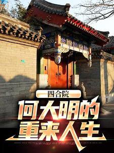 四合院我何大清