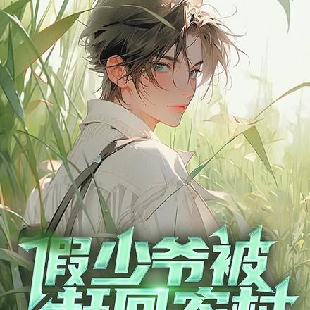 主角是假少爷