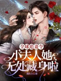 全球追妻令老婆离婚无效全文免费阅读宜栖席总