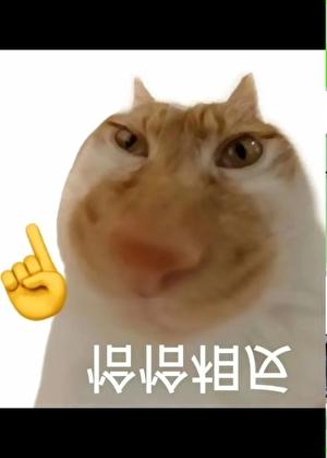 长生种开启了猎人朋友圈 炘光续昼 笔趣阁