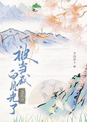 拐个太傅做相公全文免费阅读