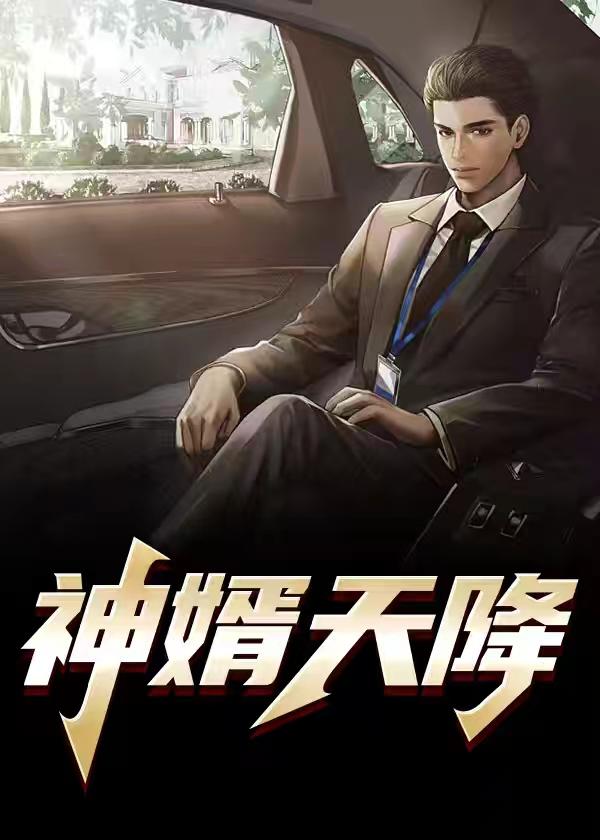 天降神婿笔