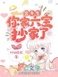 你家六宝抄家了大结局