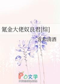 氪金大佬奴良君txt