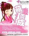 萌妻养成日记