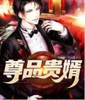 尊贵女婿