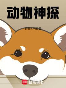 动物神探队在线观看全集