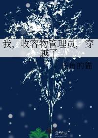收容物的