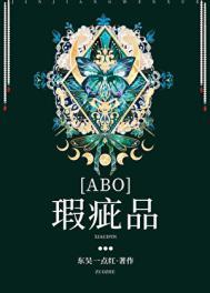 瑕疵是什么意思