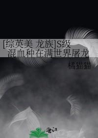 综龙族的