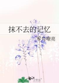 抹不去的回忆作文300字
