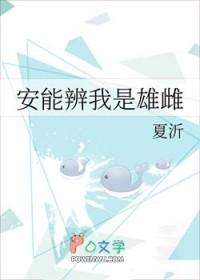 全职高手安能辨我是雌雄