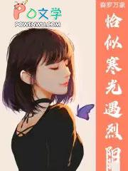 恰似寒光遇骄阳在线阅读