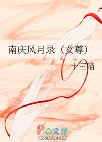 南庆简史下篇4
