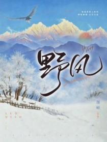 野风吹