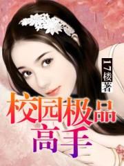 校园极品高手叶枫