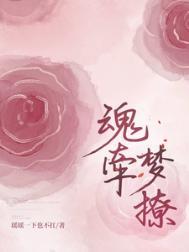 魂牵梦僚