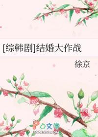 日剧 结婚大作战