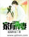 重生之家有悍妻作者沧海红霞讲的什么