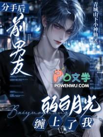 前男友的白月光讲什么
