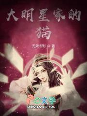 大明星家的猫是谁