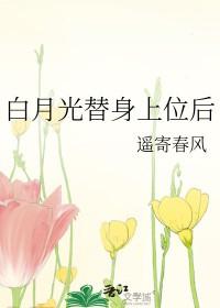 白月光替身完结