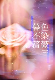 暮色不染蔷薇什么意思