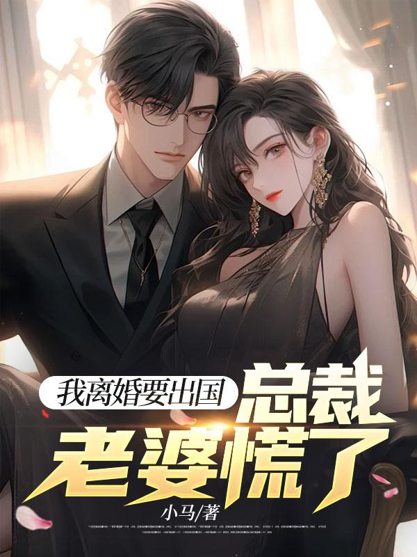总裁!我要离婚