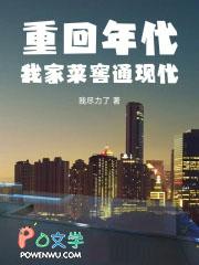 重回年代我家菜窖通现代 我尽力了