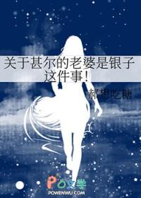 关于甚尔的老婆是银子这件事!作者郝想吃糖