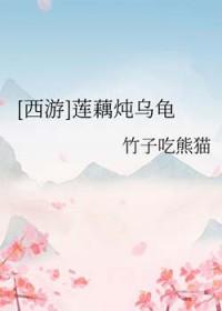 西游莲藕炖乌龟