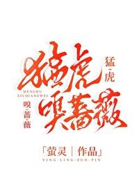 猛虎嗅蔷薇电视剧免费播放