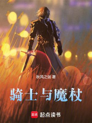 骑士与魔法1