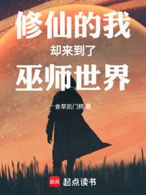 修仙的我却来到了巫师世界去防盗