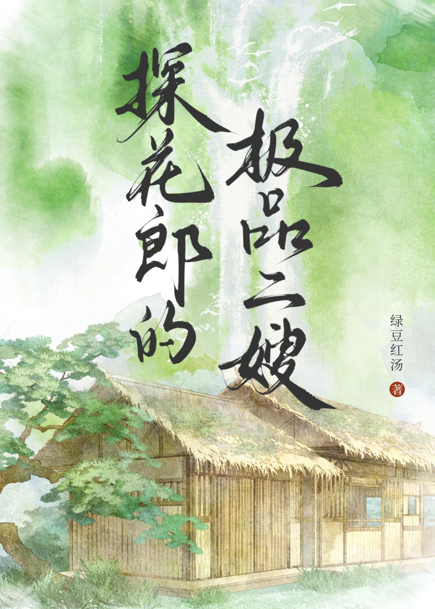 探花郎高价招的s级女神牛仔