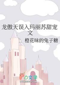 玛丽苏和龙傲天的区别