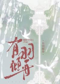 有羽倾舟61—65详细位置及作用