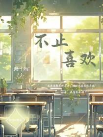不止喜欢什么意思