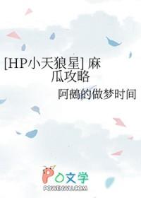 hp麻瓜与巫师
