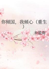 电视剧你国倾我心