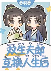 双生夫郎互换人生后番外TXT百度