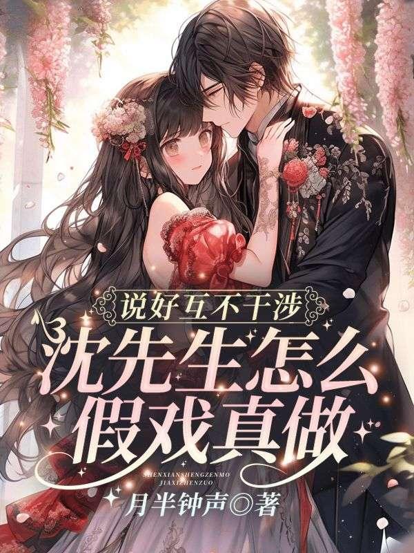 沈先生的视频