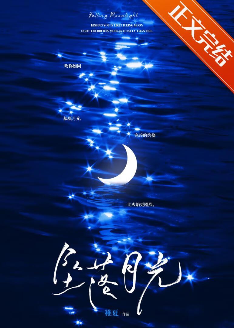 坠落月光免费阅读