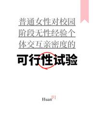 可行性试验报告po