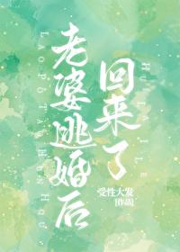 老婆逃婚后回来了免费阅读