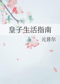 皇子生活指南 作者元昔尔
