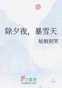 除夕夜暴雪天讲的什么