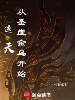 遮天从圣崖金乌开始在线阅读