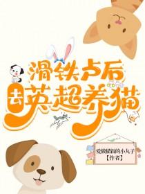 足球滑铁卢后去英超养猫免费阅读